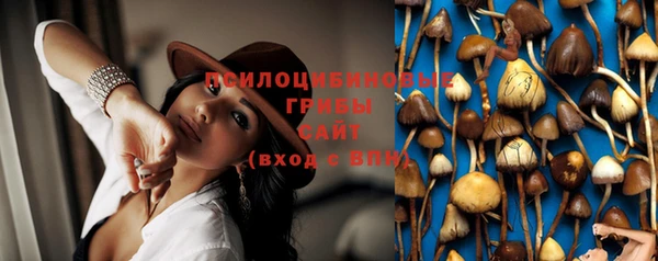 ECSTASY Алзамай