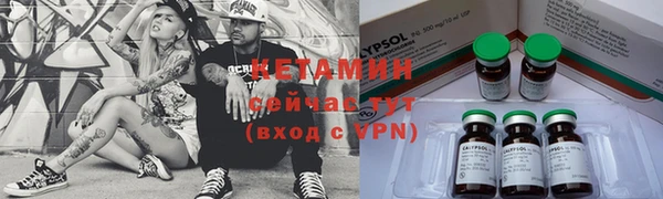 мет Алексин