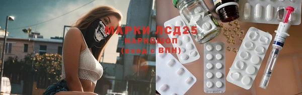 ECSTASY Алзамай