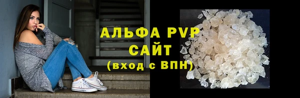 хмурый Пересвет