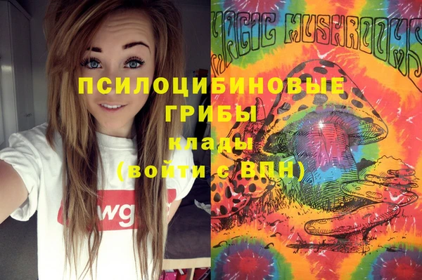 шишки Алексеевка