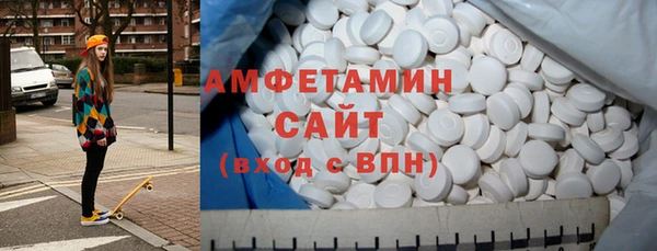 мет Алексин