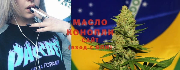 хмурый Пересвет