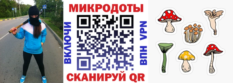 Галлюциногенные грибы MAGIC MUSHROOMS  Закаменск 